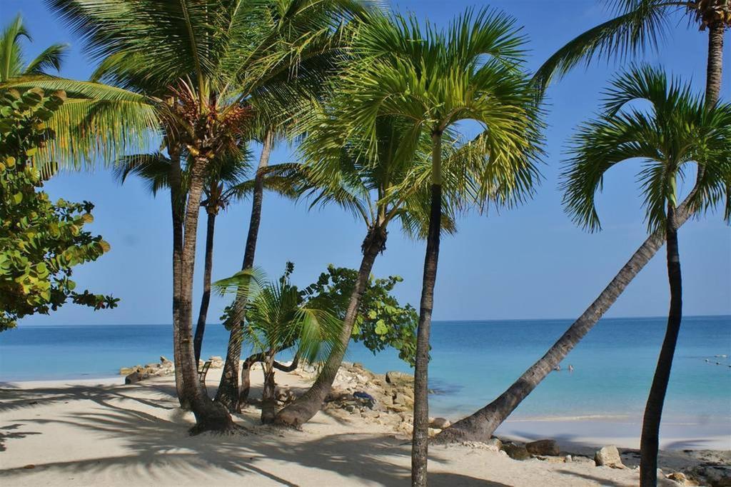 Siboney Beach Club St. John's Eksteriør bilde