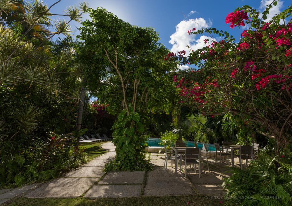 Siboney Beach Club St. John's Eksteriør bilde